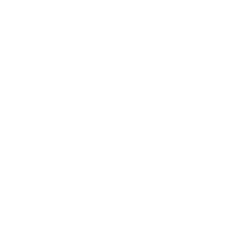 Riyaz Ahamed Site Logo